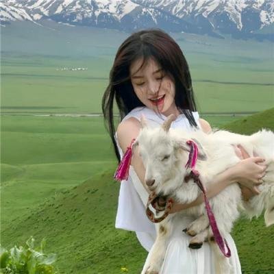 阿尔卑斯的激情
